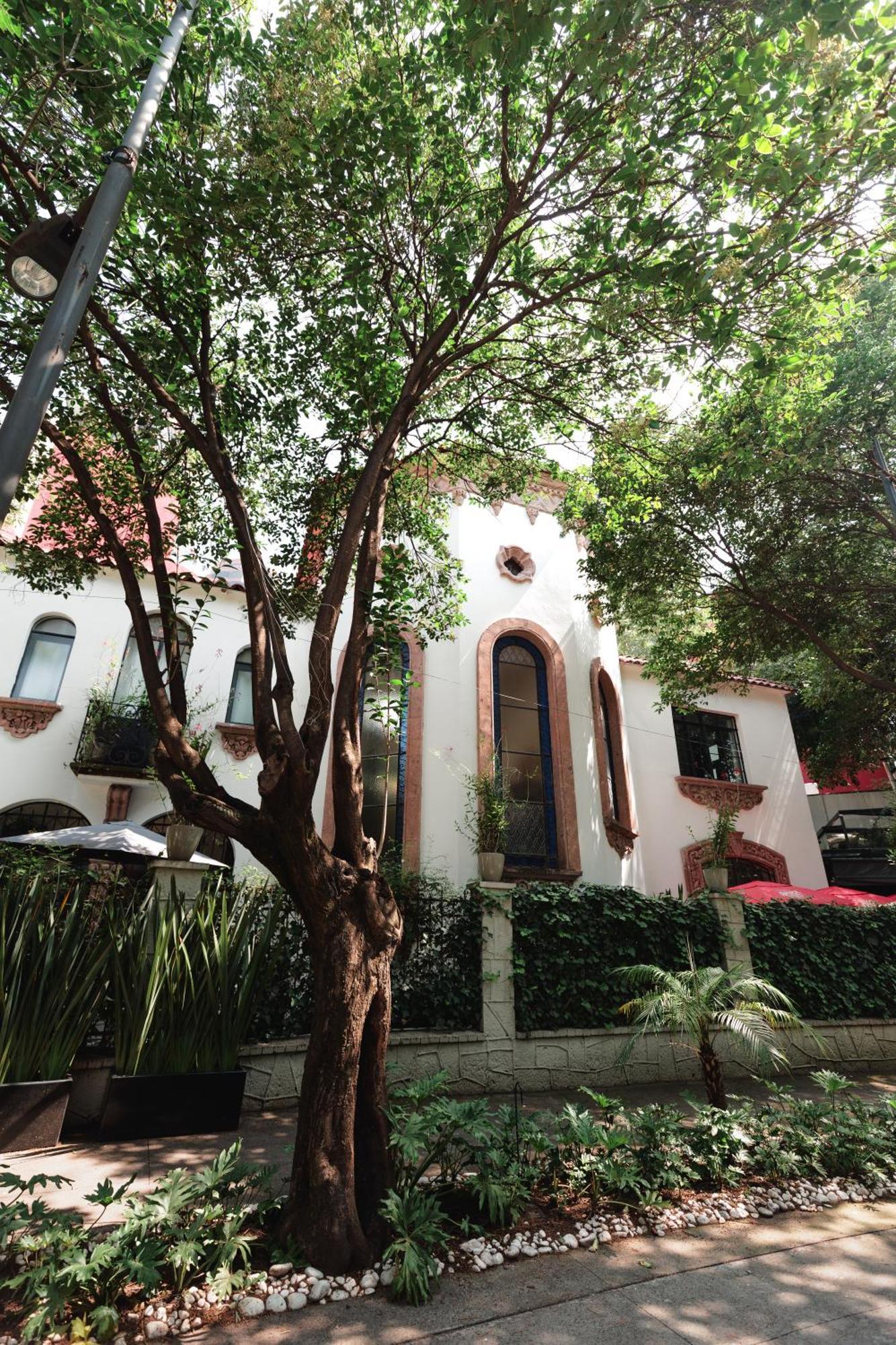 Orchid House Polanco Hotel Mexico City Ngoại thất bức ảnh