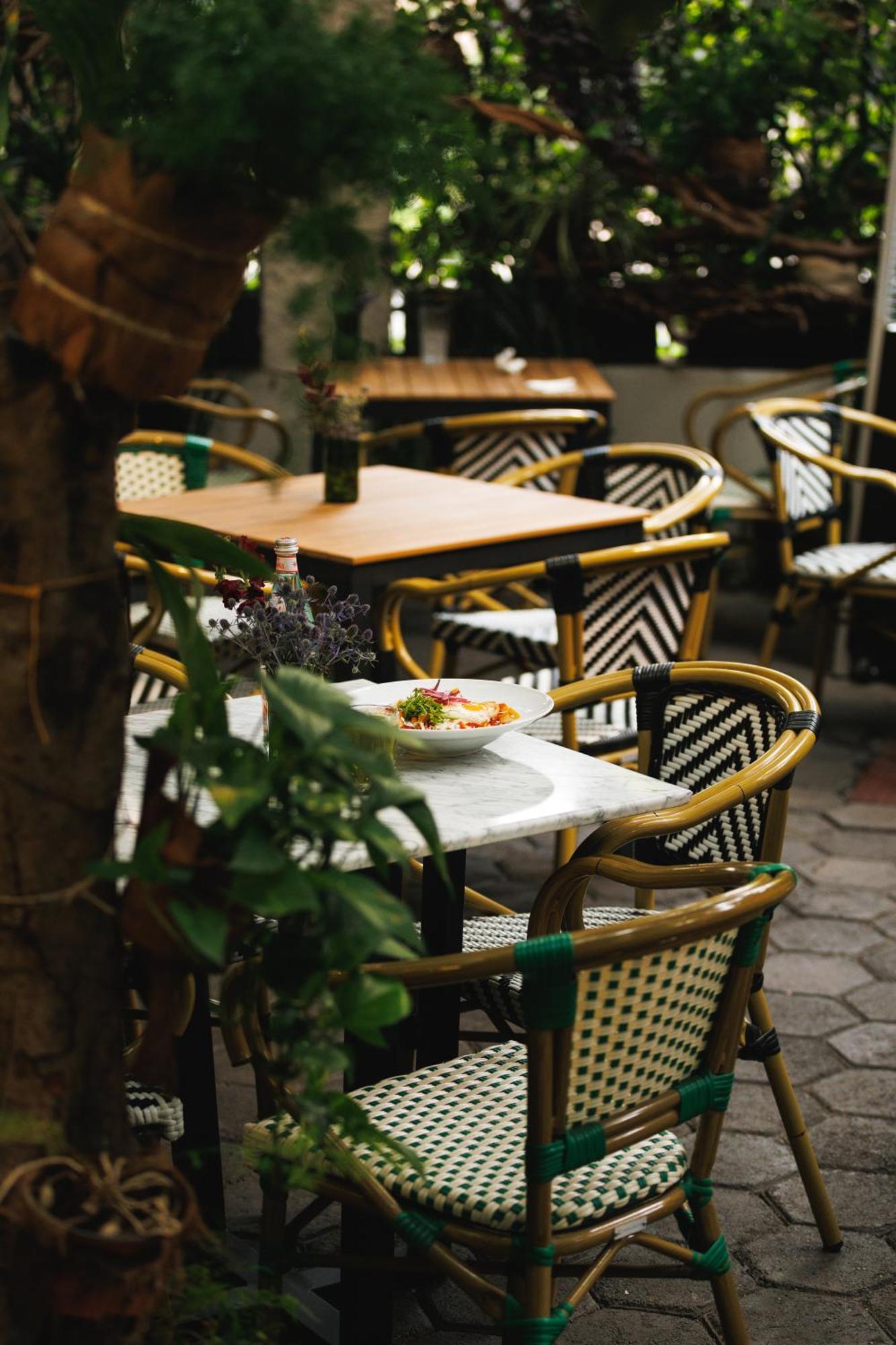 Orchid House Polanco Hotel Mexico City Ngoại thất bức ảnh