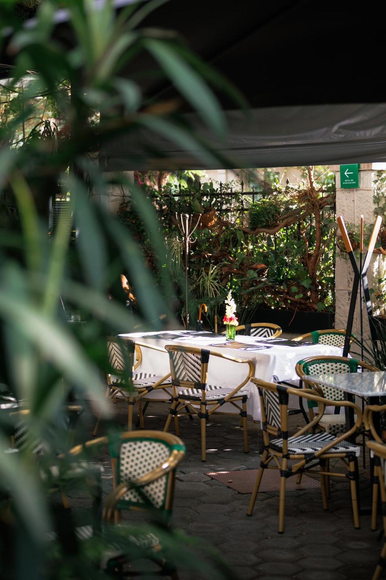 Orchid House Polanco Hotel Mexico City Ngoại thất bức ảnh