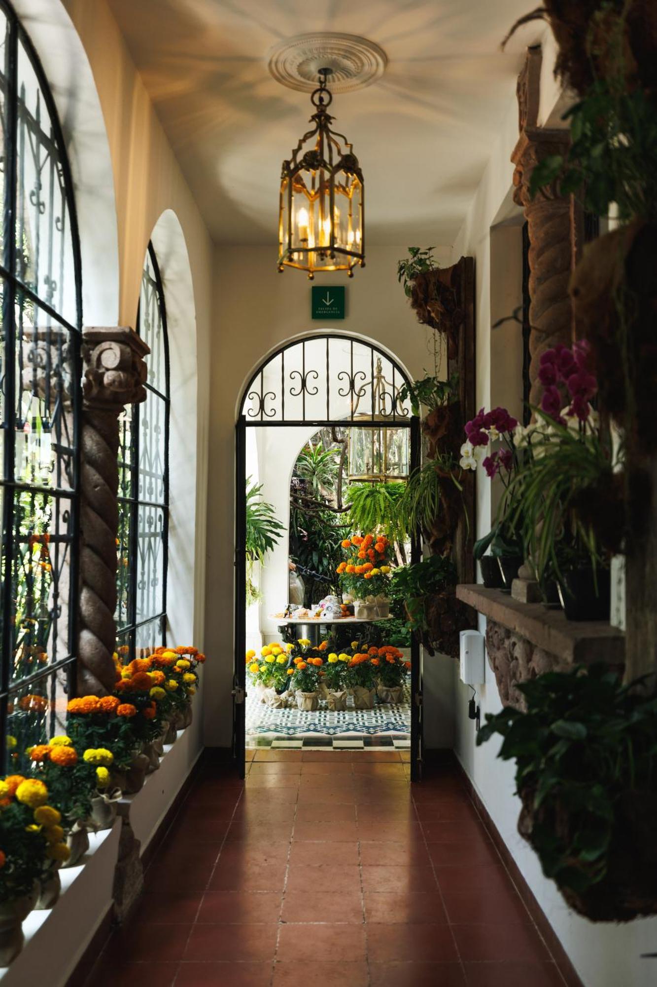 Orchid House Polanco Hotel Mexico City Ngoại thất bức ảnh