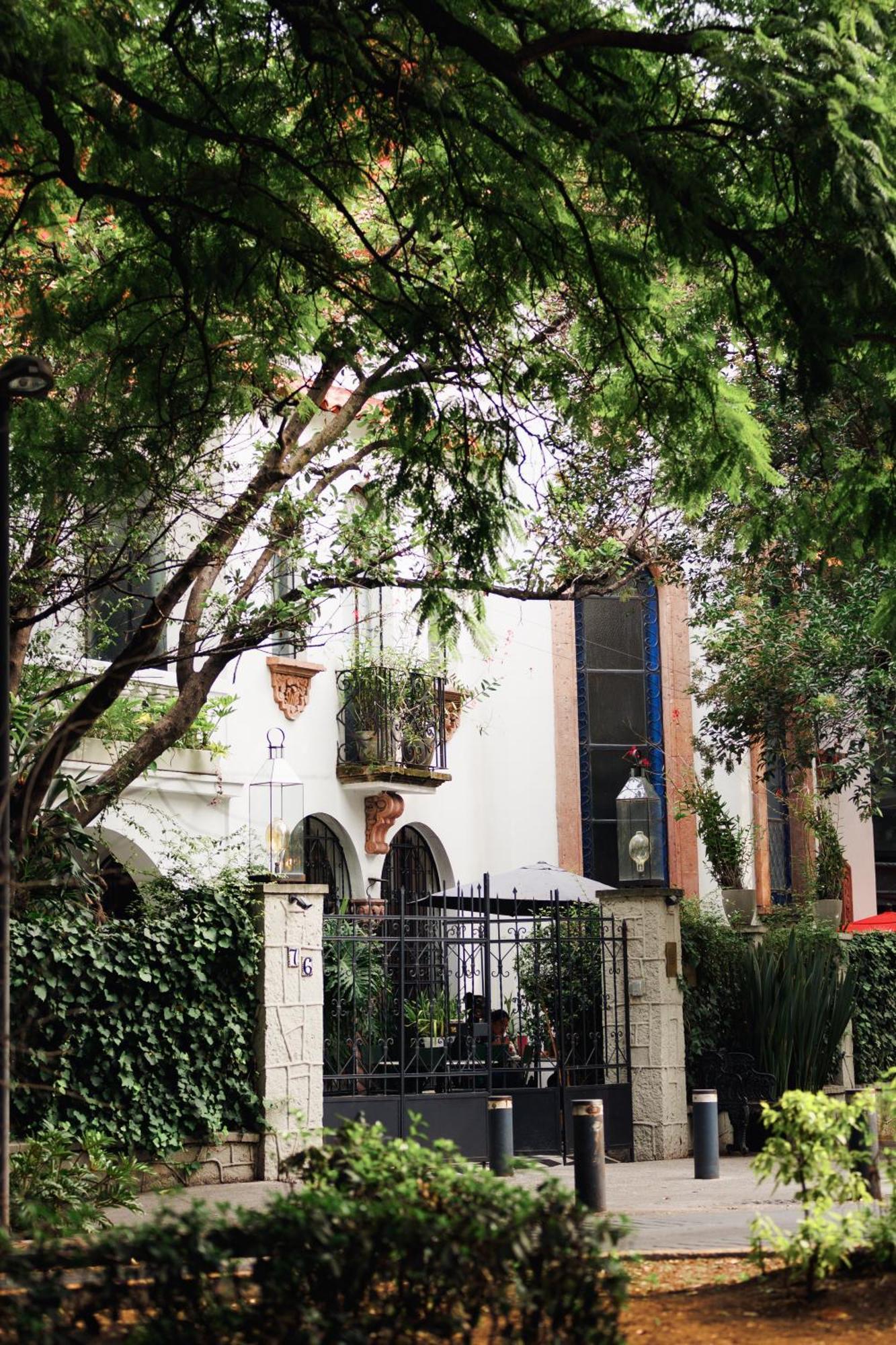 Orchid House Polanco Hotel Mexico City Ngoại thất bức ảnh