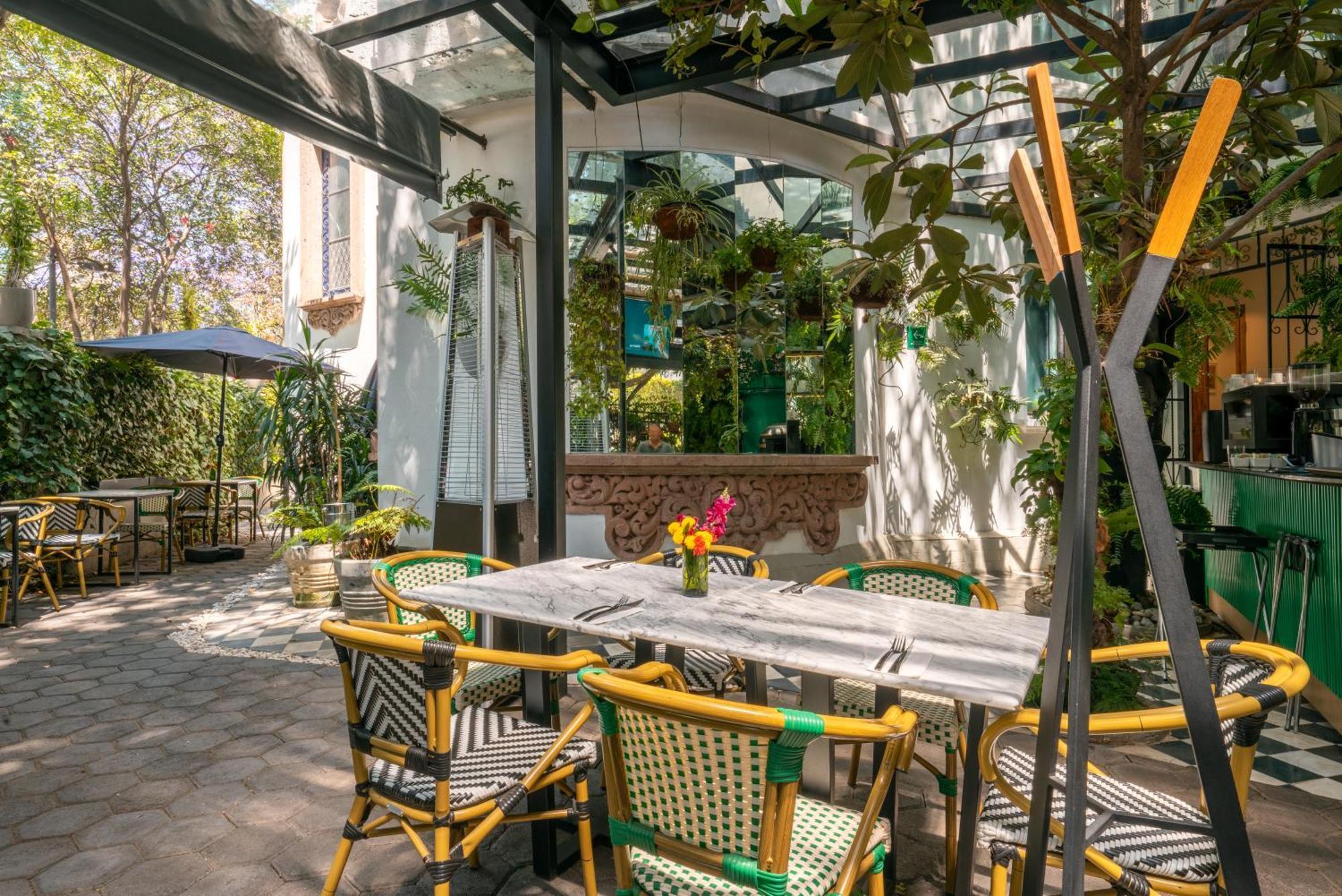 Orchid House Polanco Hotel Mexico City Ngoại thất bức ảnh